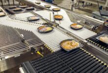 how-to-choose-the-best-conveyor-belt-for-food-packaging-and-material-handling